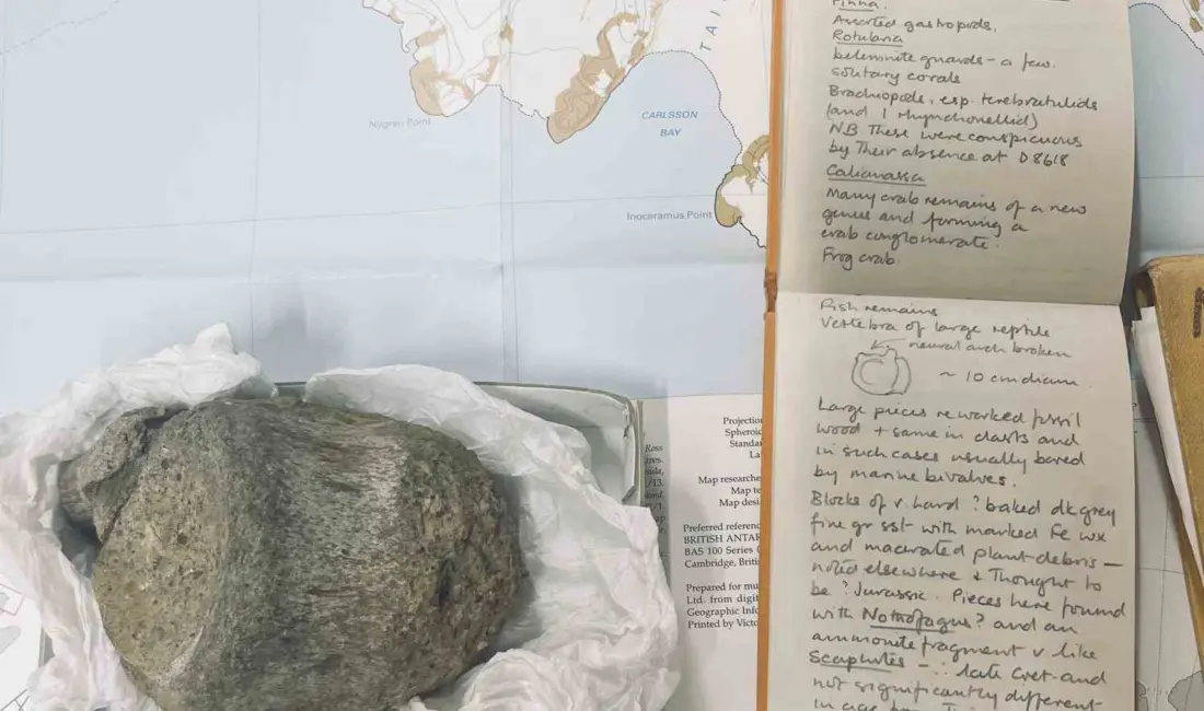 İngiliz bilim adamları tarafından 40 yıl boyunca bir çekmede bulunan