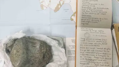 İngiliz bilim adamları tarafından 40 yıl boyunca bir çekmede bulunan