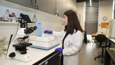 BTÜ’de geliştirilen proje ile zeytin budama atıkları, suyu tutan ve