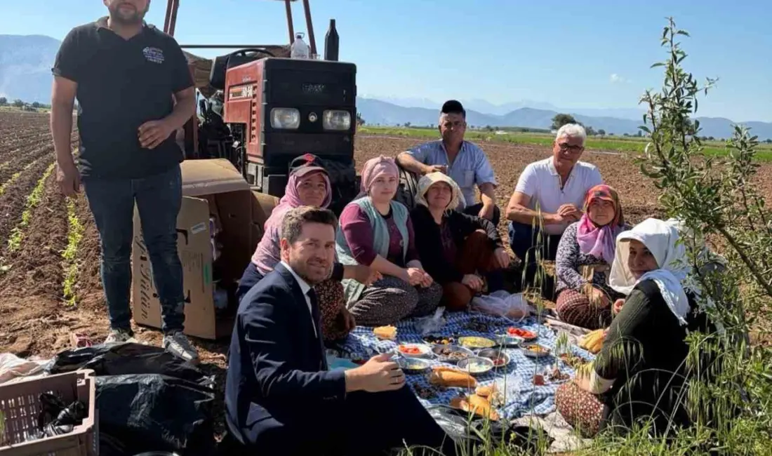 Tavas Belediye Başkanı Kadir Tatık, tütün dikimi yapan çiftçilerle bir