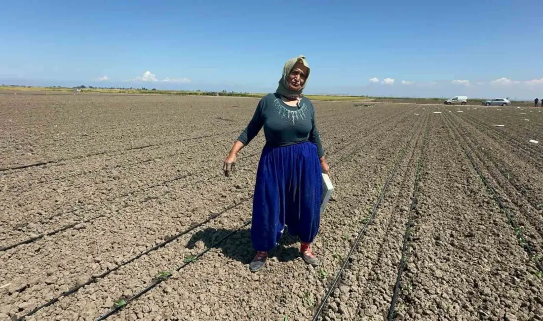 Balıkesir’de 10 yıl önce belinden ameliyat olan 70 yaşındaki tarım