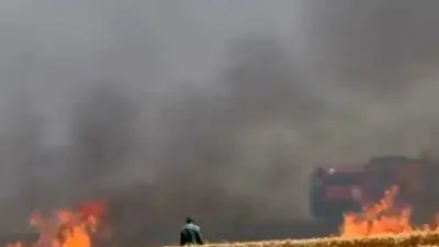Bursa’nın Karacabey ilçesine bağlı Kirmikir köyü yolu üzerindeki buğday tarlaları,
