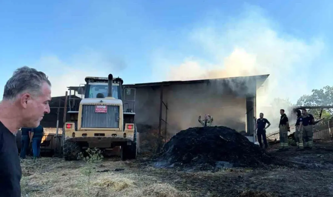 Bursa’nın Karacabey ilçesinde bir çiftlikte çıkan yangında 4 büyükbaş hayvan