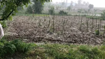 Bursa’nın Keles ilçesinde etkili olan dolu yağışı, tarım arazilerinde zarara
