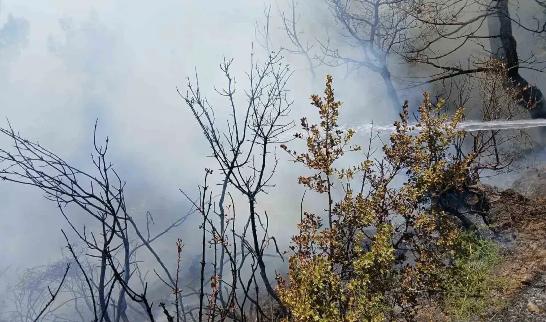 Bursa’nın Gemlik ilçesinde piknik alanı yakınlarında çıkan yangın, ekiplerin zamanında