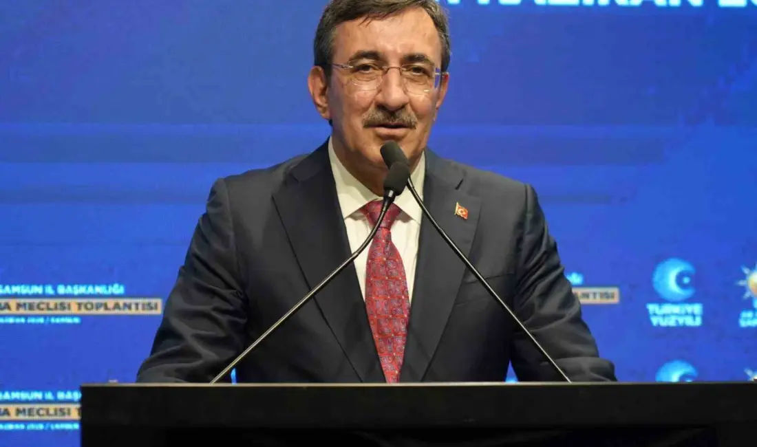 Cumhurbaşkanı Yardımcısı Cevdet Yılmaz, “Bir taraftan büyümemizi devam ettirmeye çalışıyoruz.