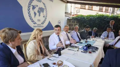 Cumhurbaşkanı Yardımcısı Cevdet Yılmaz, Terörsüz Türkiye süreci kapsamında yapılacak yasal