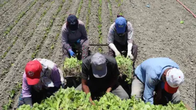 Yargıtay, 4857 sayılı İş Kanunu kapsamı dışında kalan ev hizmetleri