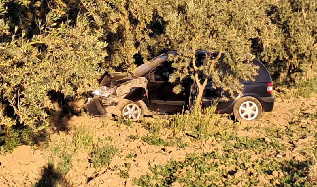 Bursa’nın İznik ilçesinde kontrolden çıkan otomobilin ağaca çarptığı kazada sürücü,