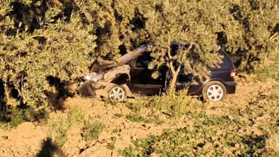 Bursa’nın İznik ilçesinde kontrolden çıkan otomobilin ağaca çarptığı kazada sürücü,