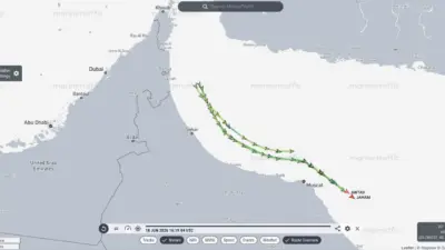 Uluslararası deniz trafiğinin takip edildiği MarineTraffic platformu yetkilileri, iki aydan