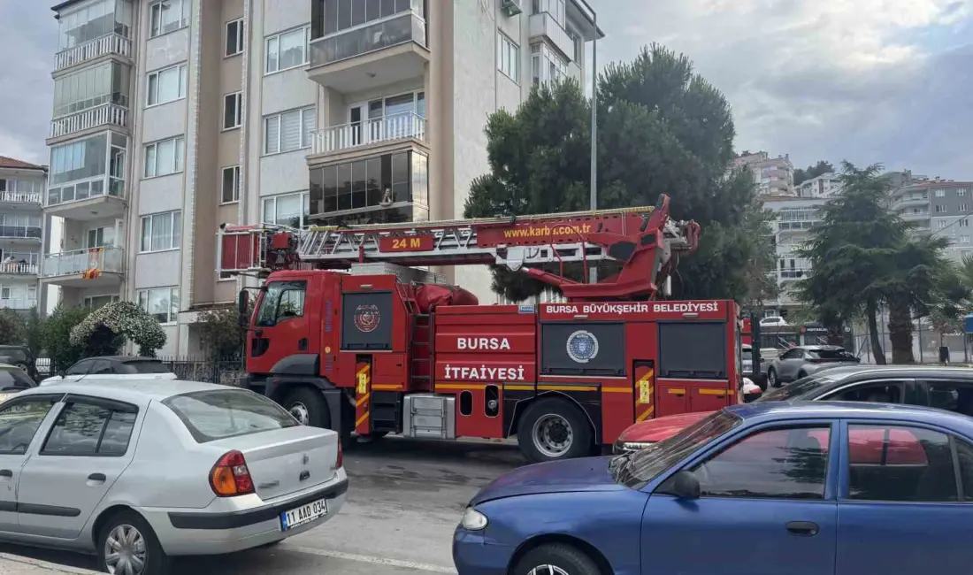 Bursa’nın Mudanya ilçesi Ömerbey Mahallesi Muhtarlığı önünde bir ağaca takılan