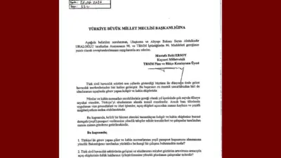 Milliyetçi Hareket Partisi (MHP) Kayseri Milletvekili Baki Ersoy, Türk sivil