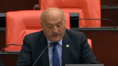 AK Parti Erzincan Milletvekili Süleyman Karaman, Türkiye Büyük Millet Meclisi