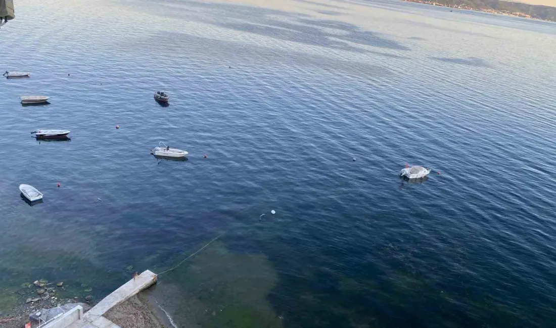 Marmara Denizi’nde geçtiğimiz hafta müsilaj nedeniyle gündeme gelen Gemlik Körfezi’nde