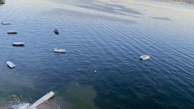 Marmara Denizi’nde geçtiğimiz hafta müsilaj nedeniyle gündeme gelen Gemlik Körfezi’nde