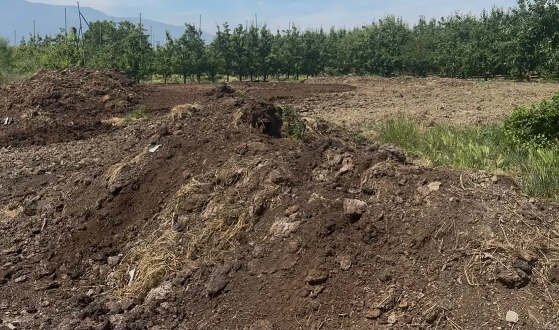 Küresel pazardaki hareketlilik nedeniyle kimyasal gübre ve yakıt maliyetlerinin yükselmesi,