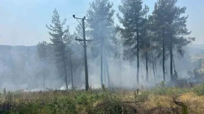 Bursa’nın Orhaneli ilçesinde kırsal alanda orman yangını başladı. Yörükler Mahallesi