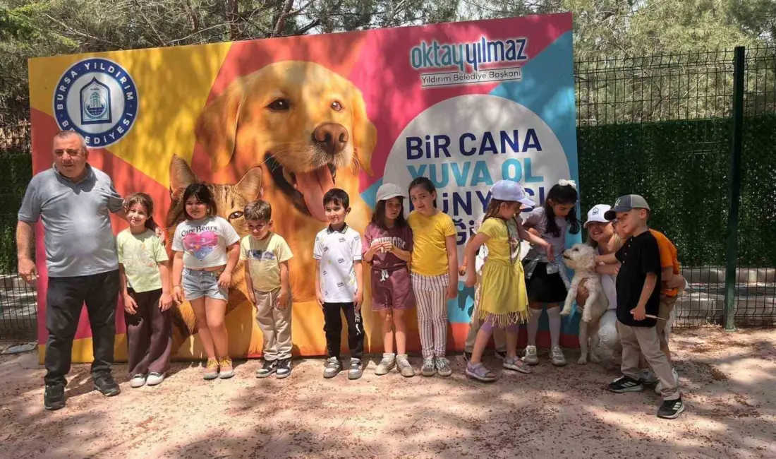 Yıldırım Belediyesi Sahip Sokak Hayvanları Tedavi Merkezi ve Doğal Yaşam