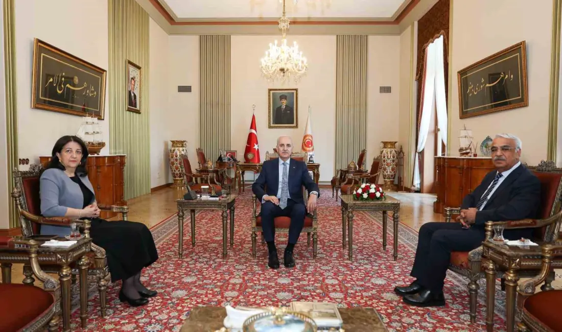Türkiye Büyük Millet Meclisi Başkanı Numan Kurtulmuş, TBMM Başkanvekili ve