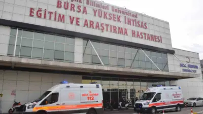 Dünyada en sık görülen kanser türleri arasında ilk sıralarda yer