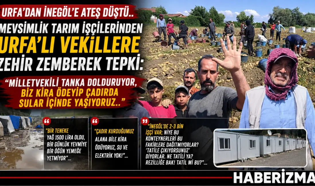 URFA'DAN İNEGÖL'E ATEŞ DÜŞTÜ! MEVSİMLİK TARIM İŞÇİLERİNDEN  URFA'LI VEKİLLERE ZEHİR