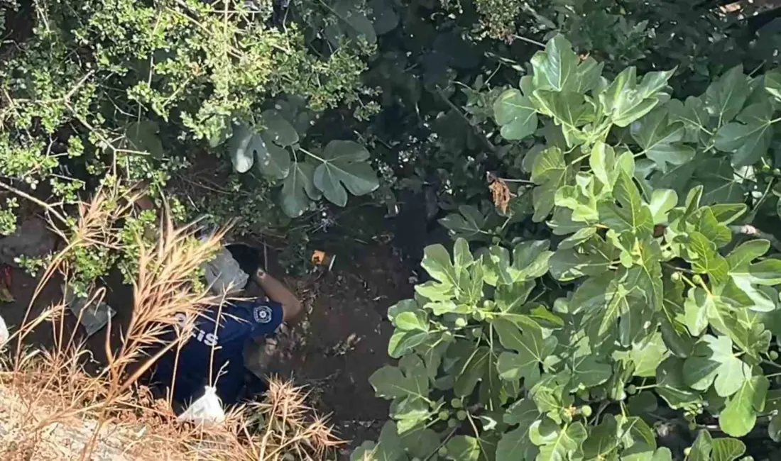Bursa’da manzarayı izlerken 10 metre yüksekten düşen kadın, yardım için