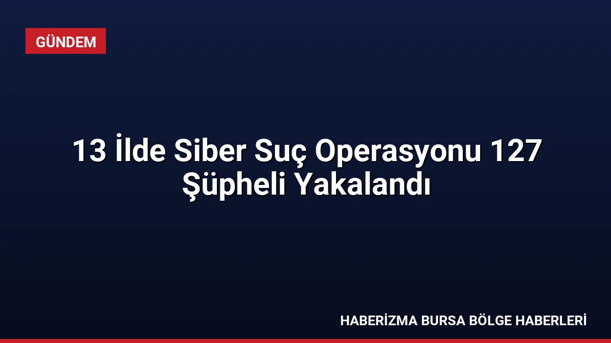 Emniyet Genel Müdürlüğü tarafından 13 ilde düzenlenen siber suç operasyonlarında