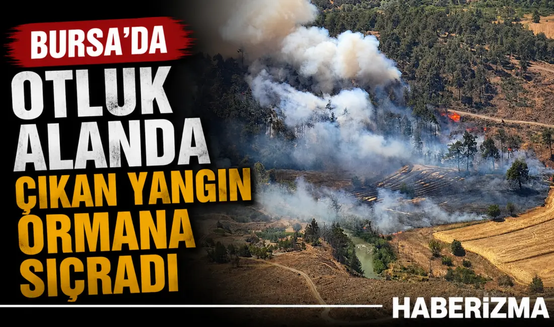 Bursa’nın Büyükorhan ilçesinde otluk alanda çıkan yangın ormana sıçradı. Yangına