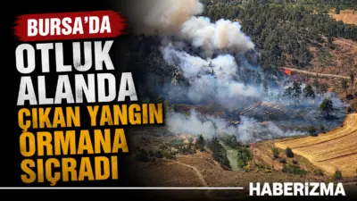 Bursa’nın Büyükorhan ilçesinde otluk alanda çıkan yangın ormana sıçradı. Yangına