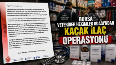 Bursa Veteriner Hekimler Odası (BVHO), internet ortamında ve petshoplarda yetkisiz