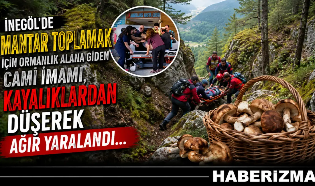 Bursa’nın İnegöl ilçesinde mantar toplamak için ormanlık alana giden cami