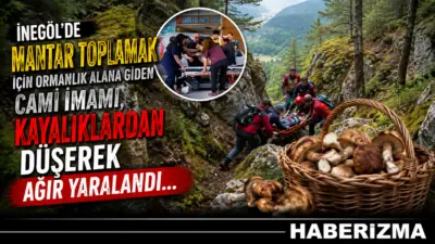 Bursa’nın İnegöl ilçesinde mantar toplamak için ormanlık alana giden cami