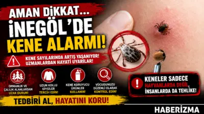 Bursa’nın İnegöl ilçesinde bir çiftlikte oyun oynayan 7 yaşındaki çocuğun