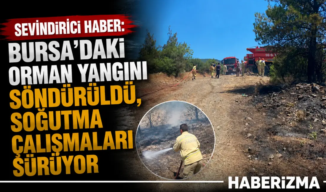 Bursa’nın Büyükorhan ilçesinde otluk alanda başlayarak ormanlık alana sıçrayan yangın,