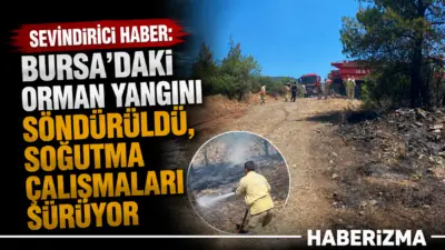 Bursa’nın Büyükorhan ilçesinde otluk alanda başlayarak ormanlık alana sıçrayan yangın,