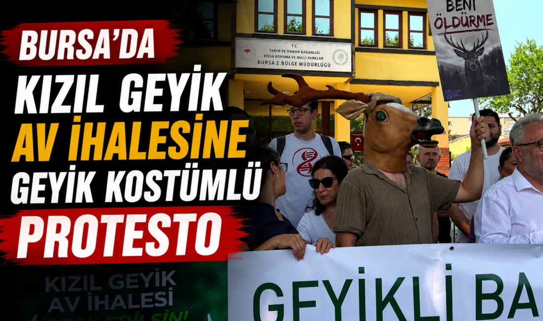 Bursa Veteriner Hekimleri Odası Başkanı Melike Baysal, kızıl geyik av