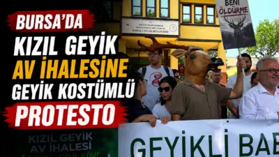 Bursa Veteriner Hekimleri Odası Başkanı Melike Baysal, kızıl geyik av