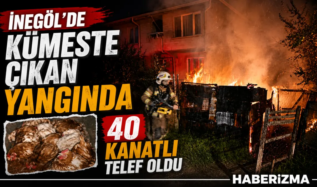 Bursa’nın İnegöl ilçesinde gece saatlerinde bir evin bahçesindeki kümeste çıkan