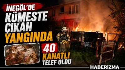 Bursa’nın İnegöl ilçesinde gece saatlerinde bir evin bahçesindeki kümeste çıkan