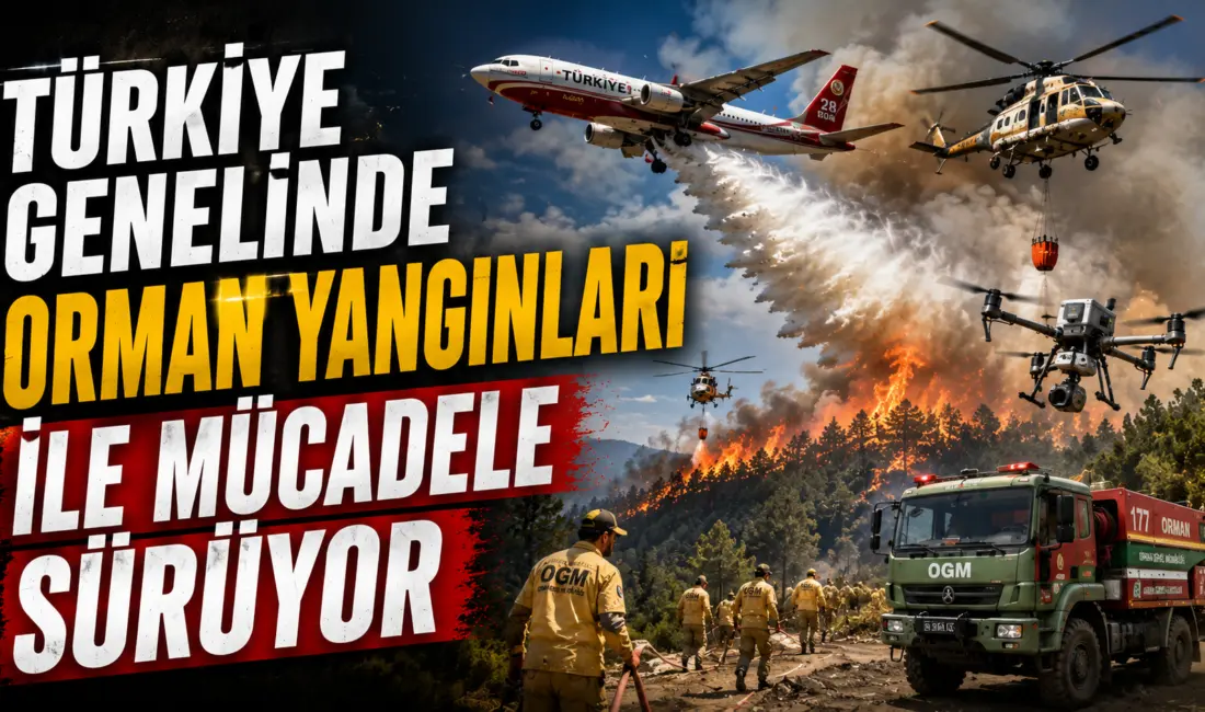Türkiye genelinde çıkan 206 orman yangınından 202'si kontrol altına alındı.