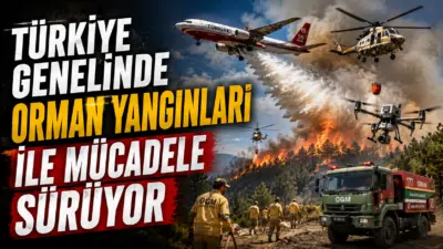 Türkiye genelinde çıkan 206 orman yangınından 202'si kontrol altına alındı.