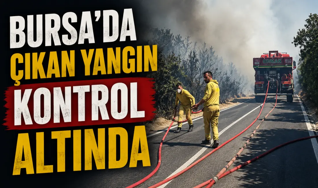 Bursa’nın Orhangazi ilçesinde çıkan orman yangını kontrol altına alındı. Soğutma