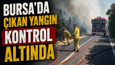 Bursa’nın Orhangazi ilçesinde çıkan orman yangını kontrol altına alındı. Soğutma