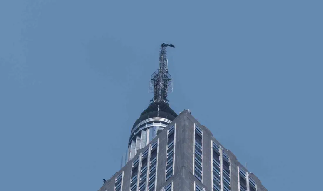 ABD’nin New York şehrinde evlilik teklifi için 443 metre yüksekliğindeki