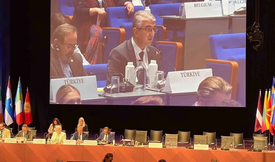 Avrupa Güvenlik ve İşbirliği Teşkilatı Parlamenterler Asamblesi (AGİT PA) 33.