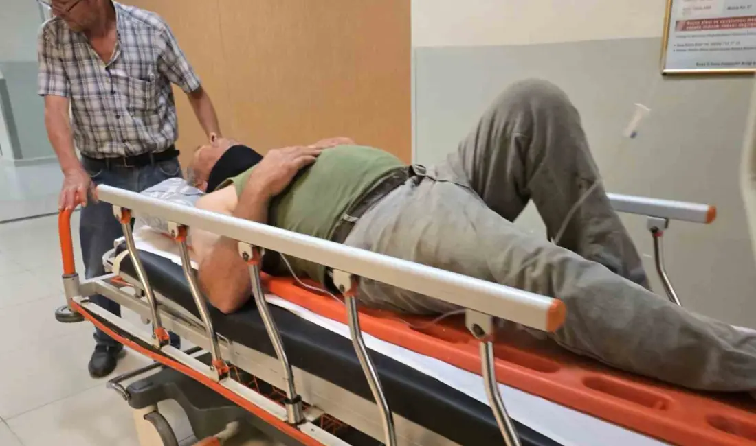 Bursa’nın Kestel ilçesinde ahırın çatısından düşerek ağır yaralanan şahıs, 8