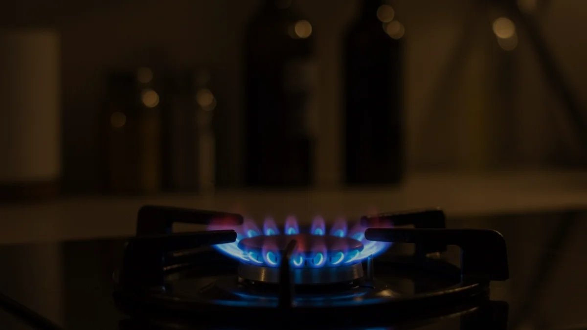 Aile ve Sosyal Hizmetler Bakanlığı, Temmuz ayı doğal gaz destek