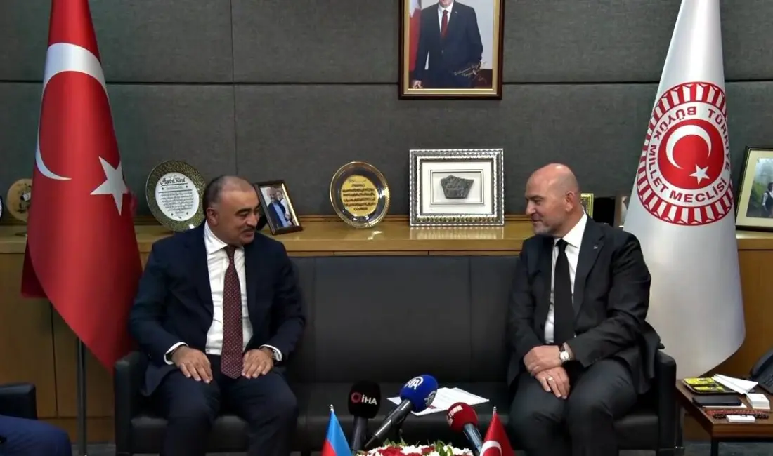 AK Parti İstanbul Milletvekili ve İçişleri Komisyonu Başkanı Süleyman Soylu,
