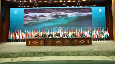 Aile ve Sosyal Hizmetler Bakanı Mahinur Özdemir Göktaş, İslam İşbirliği